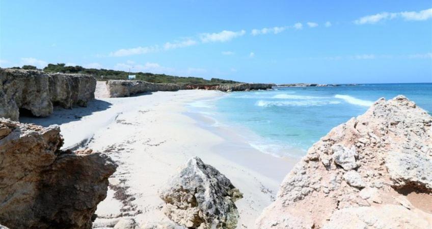 Villa Ada Casa Vacanze Torre Specchia Ruggeri Εξωτερικό φωτογραφία